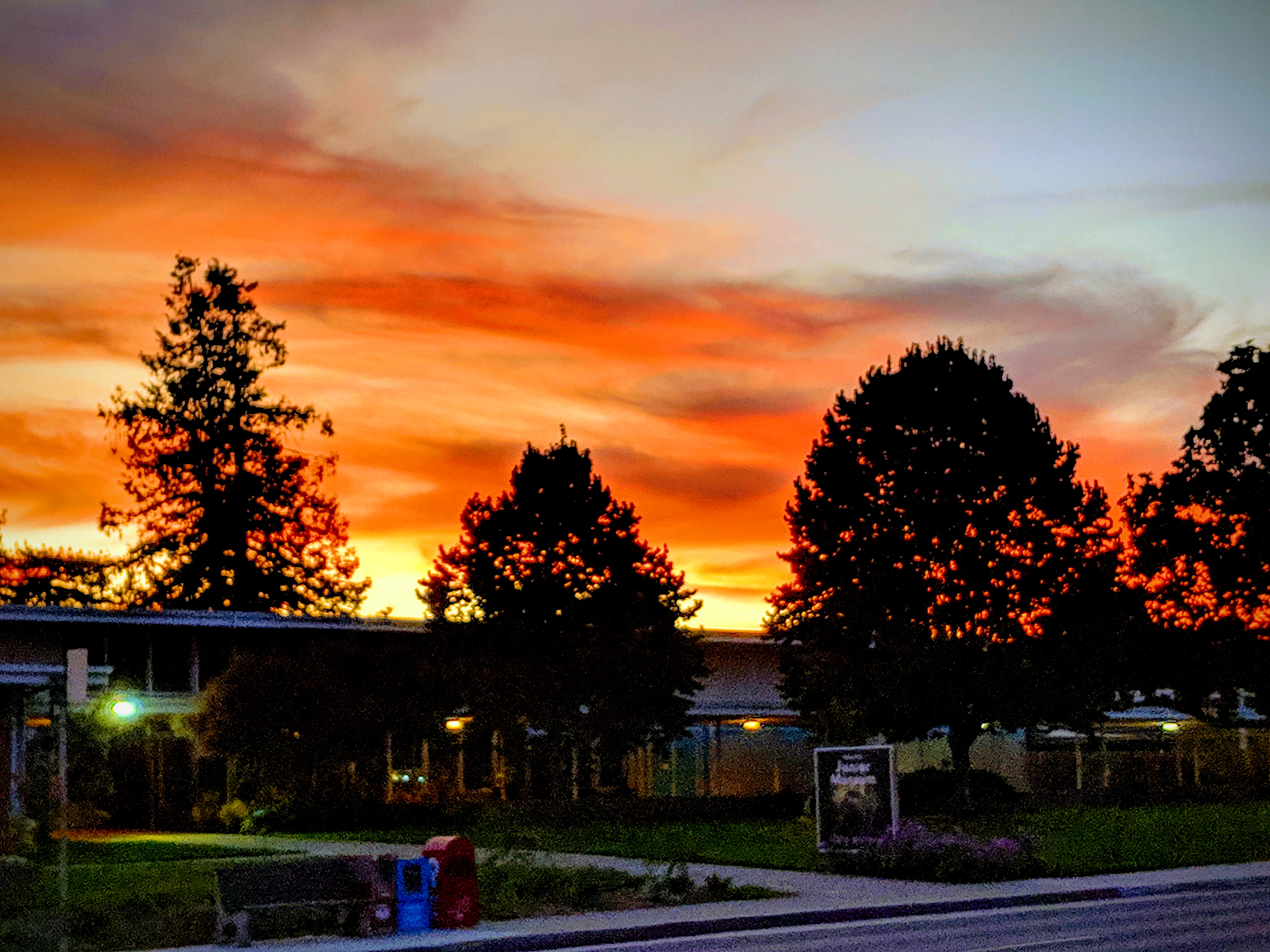 Fiery orange sunset with silhouetted evergreen trees